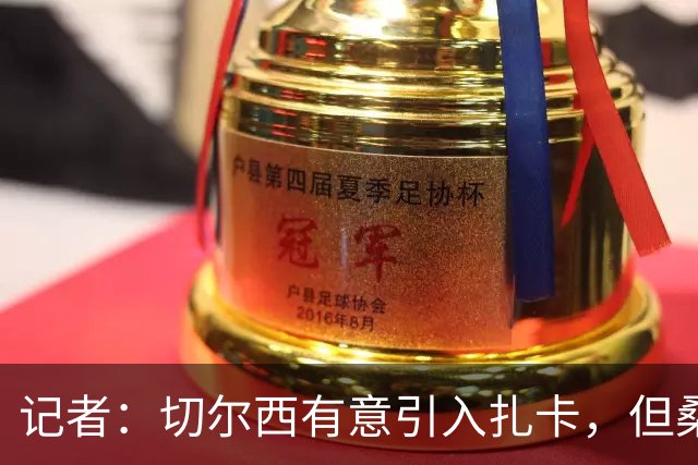记者：切尔西有意引入扎卡，但桑德兰不想出售这名球员