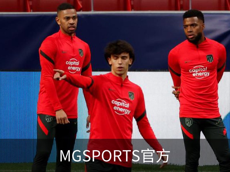 MGSPORTS官方介绍